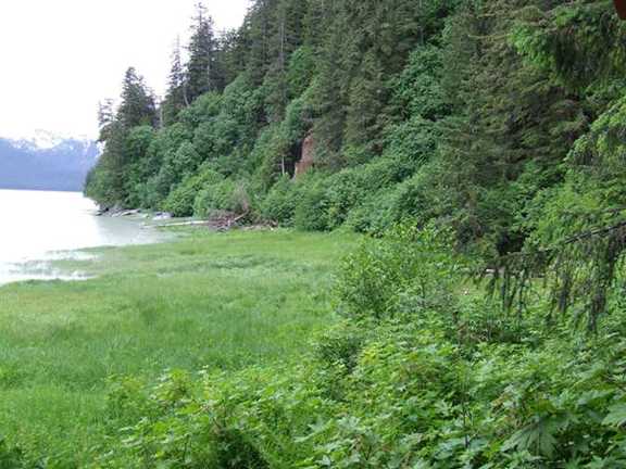 beach at high tide