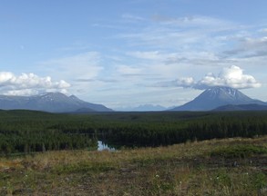 view
