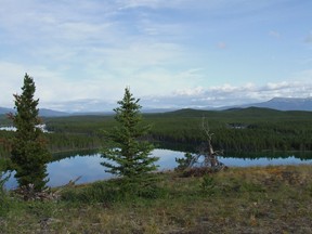 view