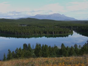 view