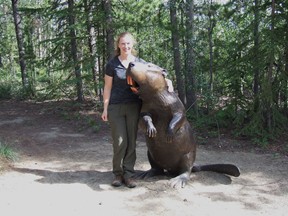beaver