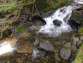 creek