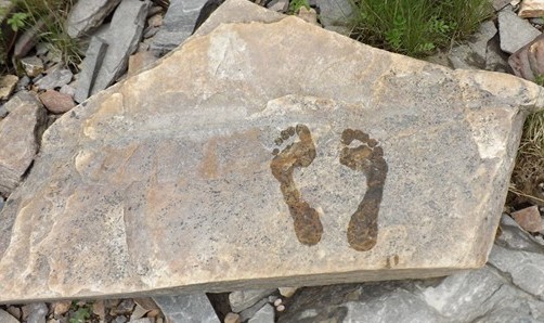 feet
