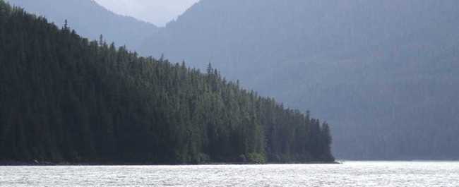 whiting inlet