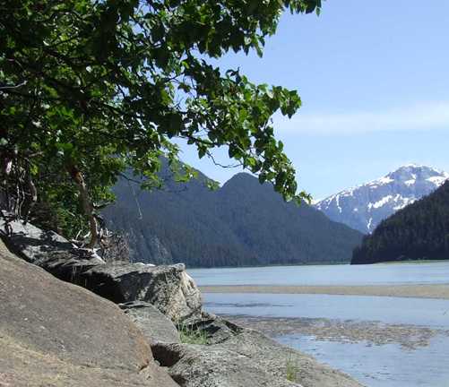 Ox point