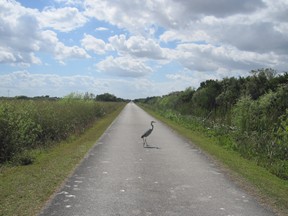 road heron