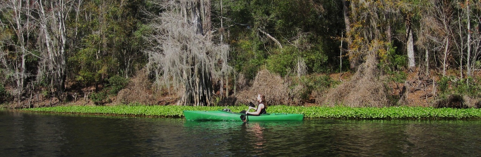 kayaking the Withlacoochee River
