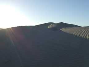 dunes in the sun